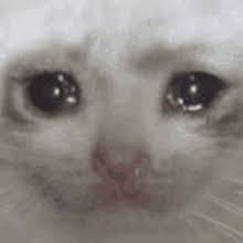 몽글이