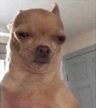 ffffffffffffffffffffffffffffffffffffffffffffffffffffffffffffffffffffaffffffffffffffffffffffffffffffffffffffffffffffffffffffffffffffffffffaffffffffffffffffffffffffffffffffffffffffffffffffffffffffffffff